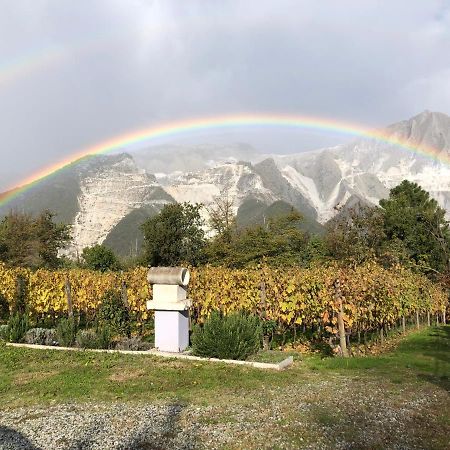 Galleria Ars Apua Bed & Breakfast Carrara Dış mekan fotoğraf