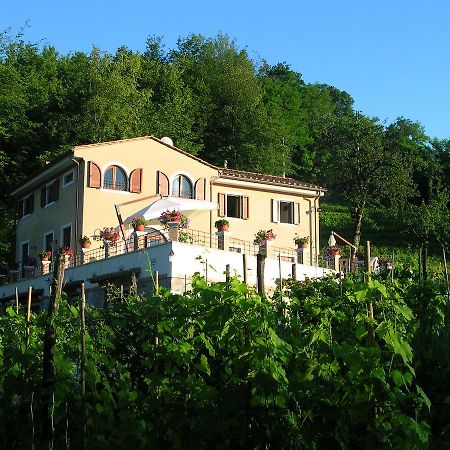 Galleria Ars Apua Bed & Breakfast Carrara Dış mekan fotoğraf